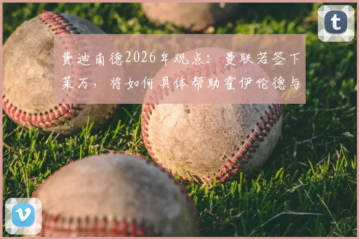 费迪南德2026年观点：曼联若签下莱万，将如何具体帮助霍伊伦德与谢什科成长？老将传帮带价值深度探讨
